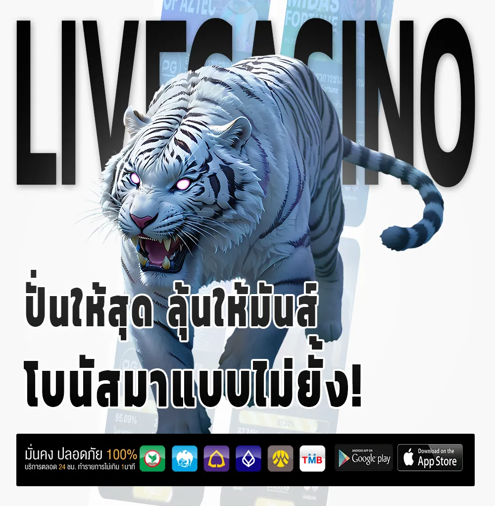 chailai89 โปรแรง